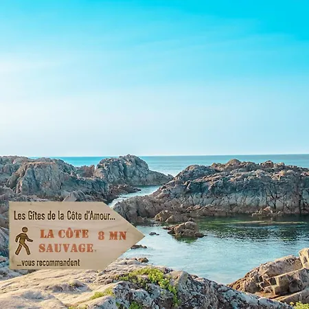 Le Nid De Sur Mer-studio-les De La Cote D'amour 公寓 梅尔河畔的巴兹