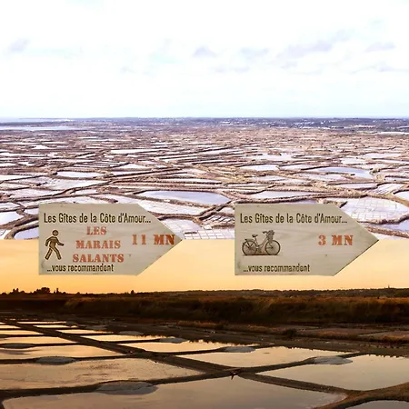 Le Nid De Sur Mer-studio-les De La Cote D'amour *