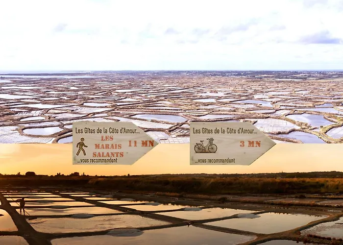 Le Nid De Sur Mer-studio-les De La Cote D'amour *